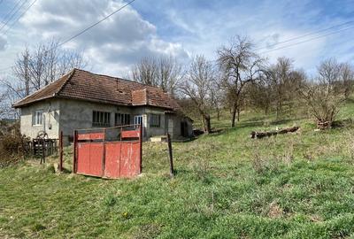 Casă individuală cu 2 camere cu Teren 2800 Mp în Geaca - 2