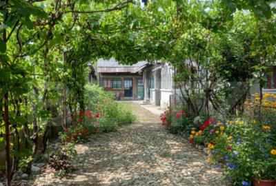 Gospodarie Completa, 130 mp, 1.300 mp Teren, zona Doice?t - 1