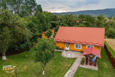 Ansamblu cu 2 case,piscina,1.700 mp domeniu verde,Lutoasa,Mereni,Covasna - 54