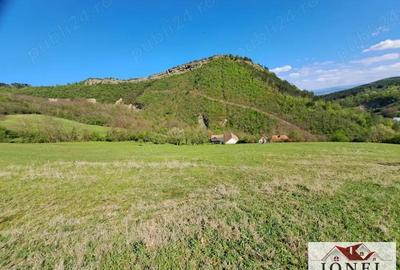 Casa de vanzare cu 46774 mp teren in zona Vintu de Jos Casa de vanzare cu 46774 mp teren in zona Vintu de Jos - 20