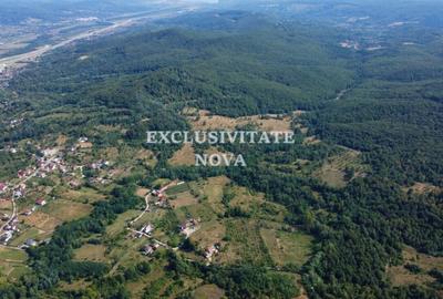 Oaza de natura si oportunitate in Baiculesti  Valea lui Enache, Arges - 6