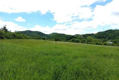 Borlovenii Noi, Teren Drept, 16000mp, la Limita Localitatii - 11