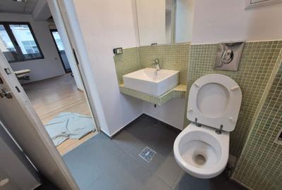 Birou, de 680 mp, în Pache Protopopescu - 7