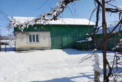 Casă cu Teren 5800 Mp în Călinești (Bucecea) - 3