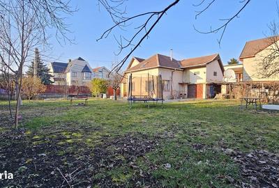 Spațiu comercial, în Andrei Mureșanu - 11