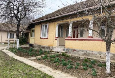 Casă cu Teren 754 Mp în Gâldău - 3