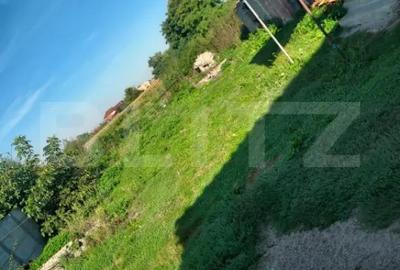 Casă cu 2 camere cu Teren 2860 Mp în Botiz