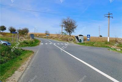 Teren pretabil investitie in Daia judet Sibiu - 11