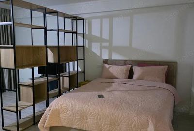 Garsonieră semidecomandată în Rahova