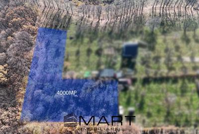 Teren extravilan de 4000 mp, în Sadu