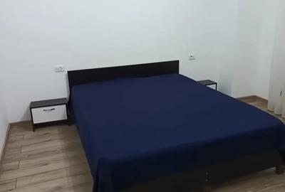 Apartament de inchiriat Dem. Radulescu - 6