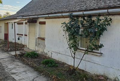 Vind casa in Ungaria localitatea Magyarcsanad la 10 km de Mako si aprope de vamile Cenad si Nadlac - 9