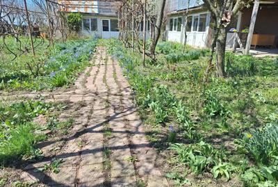 A 24 case 10000 mp teren Seciuieni Bacau - 3