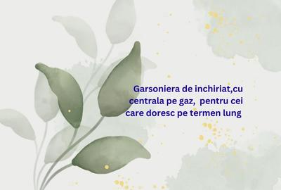 Garsoniera - zona Euromaterna, etajul 3 cu centrala pe gaze - 6