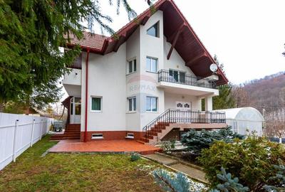 Casa / Vila D+P+1 cu 5 camere de vanzare, strada Slatinei, Luncani - 1