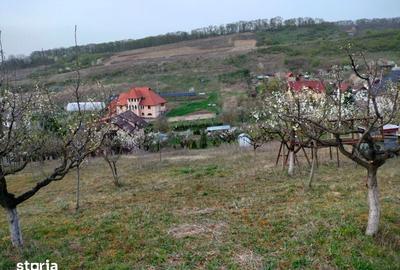 Teren de 3000 mp, în Corunca - 8