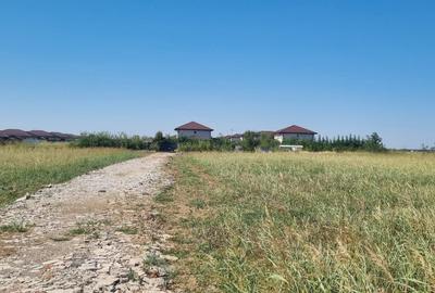 Teren intravilan Balotesti, Complex Good Afternoong - 3