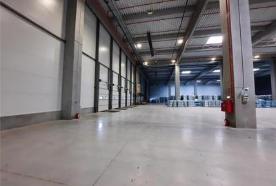Spatiu Industrial - 5300 mp - Logistica - Productie - Depozitare - Distributie - 10