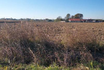 Spațiu comercial, în Băcia - 5