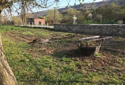 Casă cu 2 camere cu Teren 4000 Mp în Poiana Aiudului - 5