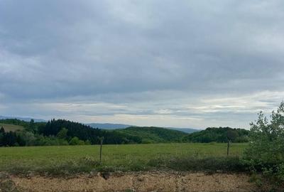 Teren Construcții intravilan de 11290 mp, în Șinteu - 3