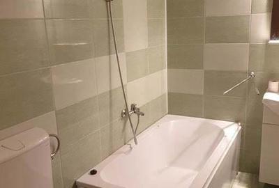 Garsoniera renovata zona Ferdinand - 2