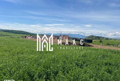 Teren de 45200 mp, în Cristian