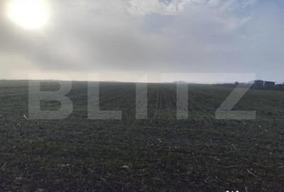 Teren de 8400 mp, în Miroslava - 3