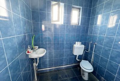 Spațiu industrial, de 288 mp, în Oșorhei - 6