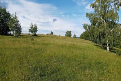 Teren de 22000 mp, în Luncani - 1