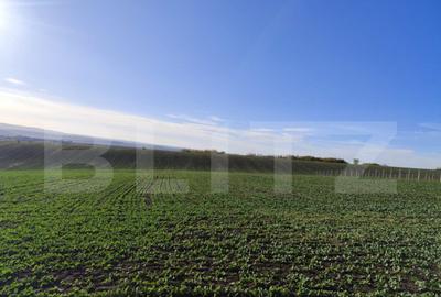 Teren de 20300 mp, în Miroslava - 1