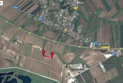 Teren agricol intravilan de 6000 mp, în Bolintin-Vale - 2