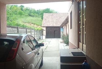 Casă cu 4 camere decomandat în Pianu - 1
