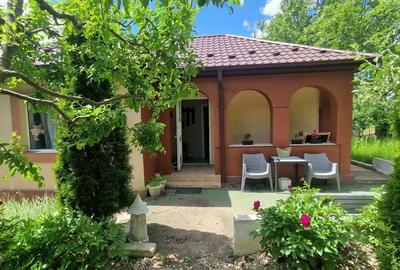 Casă cu 3 camere cu Teren 435 Mp în Central - 8
