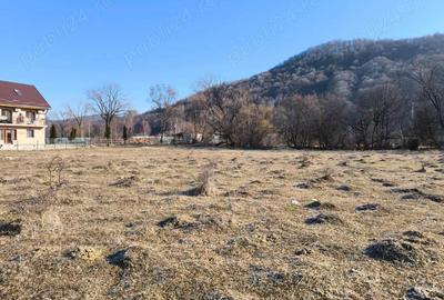 Zona Glajarie - Rasnov, teren ideal pentru investitie sau constructii de vacanta. - 2