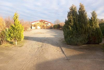 Spațiu comercial, de 4,800 mp, în Sântuhalm - 9