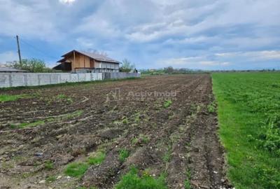 Teren de 4500 mp, în Ariceștii Rahtivani - 3