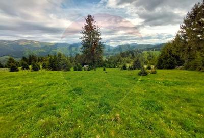 O fereastra catre cer - teren de vis in Fundata, la poalele Bucegilor - 22