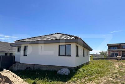 Casa de vanzare in Paleu,Langa Hexxol - 2