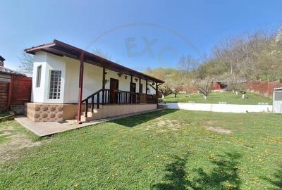 Casa de Vacanta - Un Colt de Rai , Stefanesti-Arges - 2