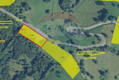 Teren extravilan, 2000 mp, Sat Pestera (com Moieciu) - 5