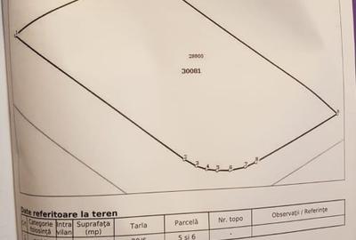 Teren Construcții intravilan de 608 mp, în Frumușani - 5
