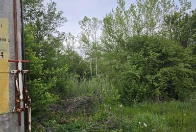 Teren de 1360 mp, în Pojogeni - 4