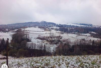 Teren agricol extravilan de 8335 mp, în Vișagu - 6