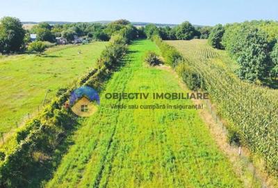 TEREN intravilan 6764 mp DRAGOMIRESTI - VAD - 6