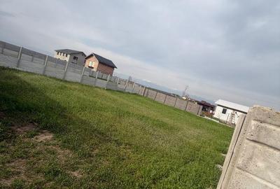 Spațiu comercial, în Poșta - 2