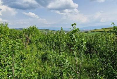 Teren agricol extravilan de 5000 mp, în Șura Mare - 12