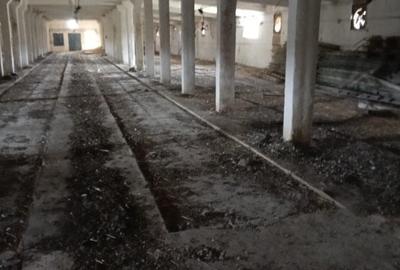 Timis - Orțișoara, hală industrială cu etaj de vânzare – 2.150 mp, teren 1.880 m - 5