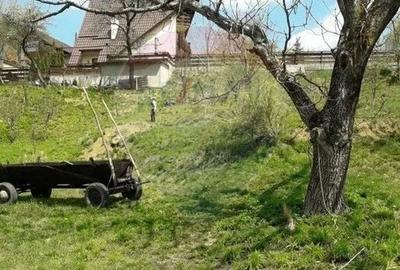 Teren Construcții intravilan de 561 mp, în Turcheș - 1