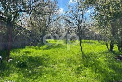 Spațiu comercial, în Săliștea - 1